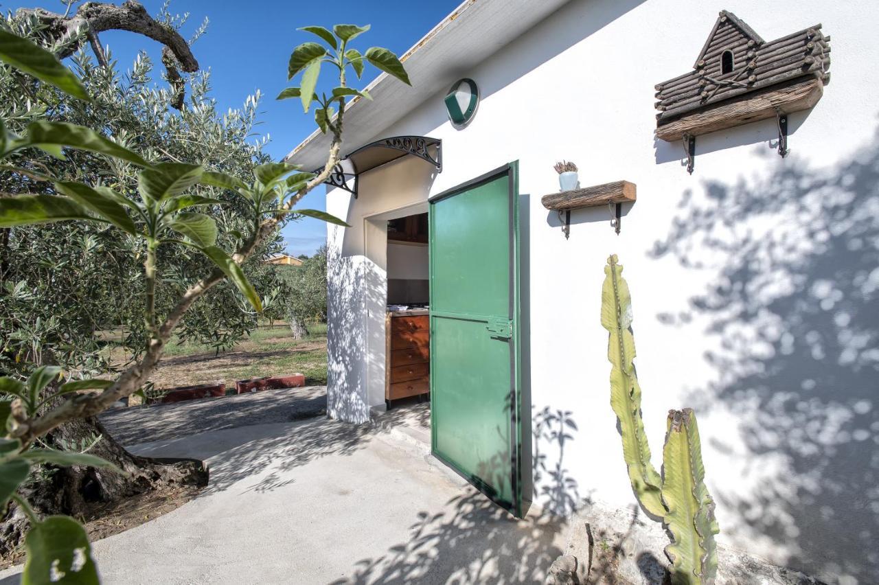 Casa Rina Villa Sassari Bagian luar foto