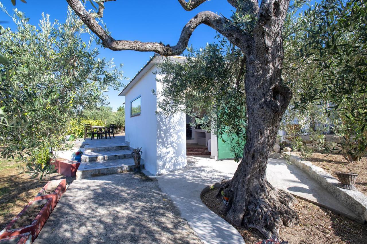 Casa Rina Villa Sassari Bagian luar foto